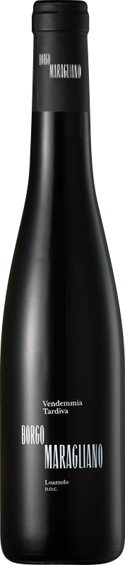 Loazzolo